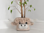 Highland Cow Crochet Basket Yarn Pack