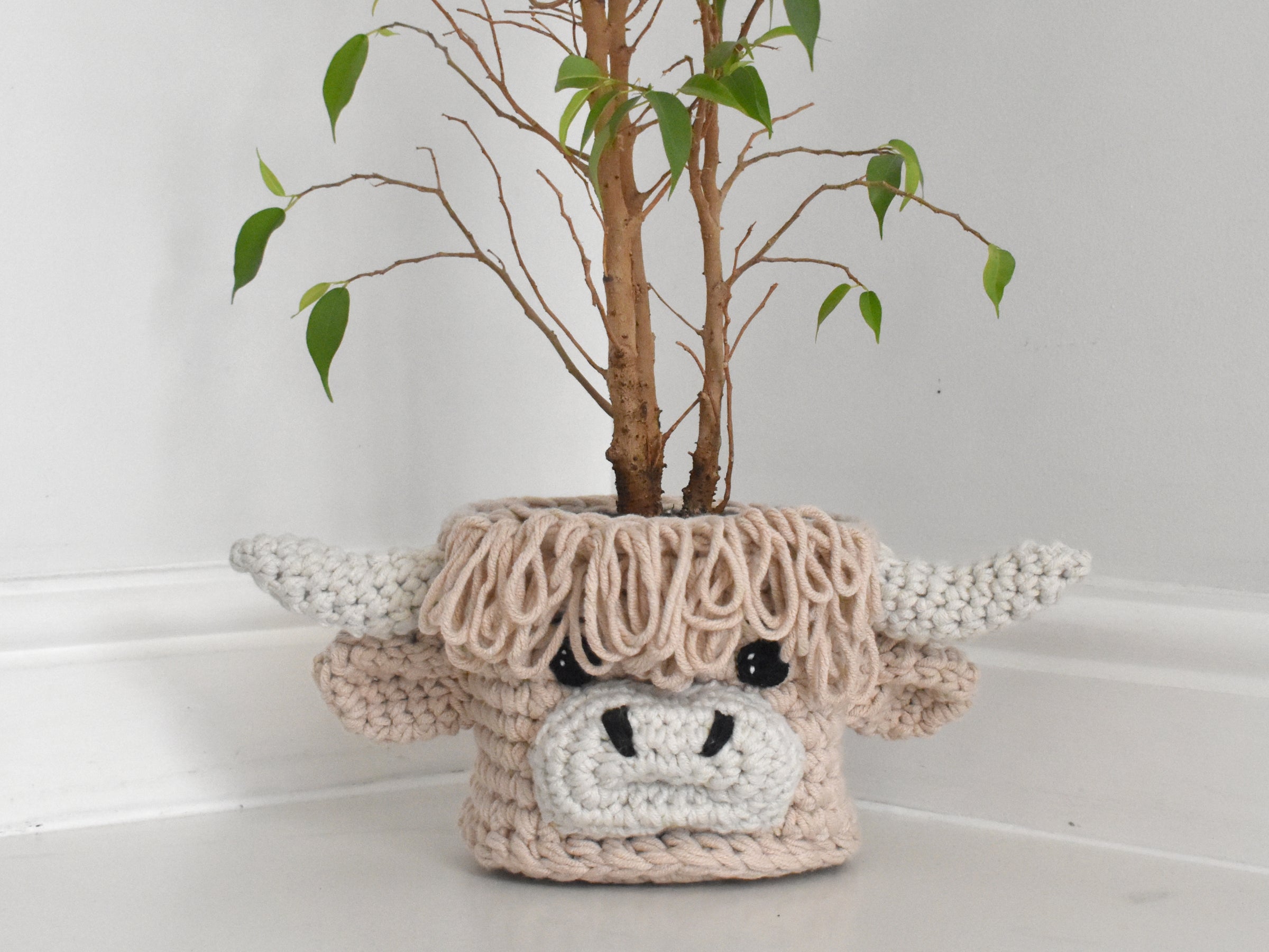 highland cow succulent pot Highland Cow Basket CROCHET KIT – Dreamy Wool