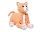 Cuddle and Play Cat Blanket Crochet KIT