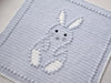 Bobbly Bunny Crochet Baby Blanket KIT
