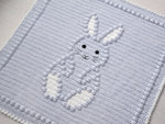 Bobbly Bunny Crochet Baby Blanket KIT