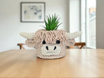 Highland Cow Crochet Basket Yarn Pack